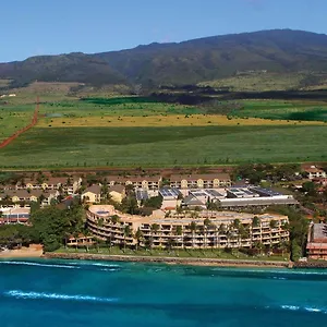 https://paki-maui.hotelsinhawaii.org